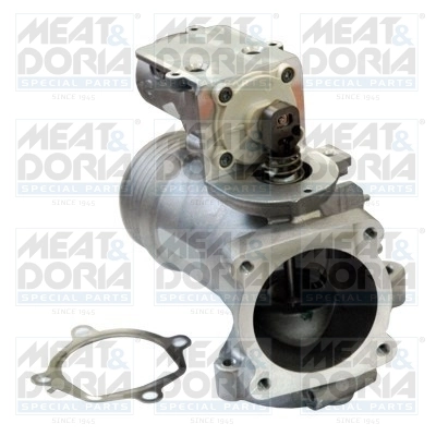 EGR Valve